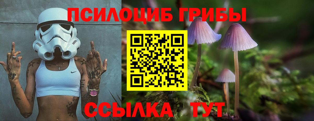 Верхний Уфалей  Галлюциногенные грибы мицелий  Вход с VPN 